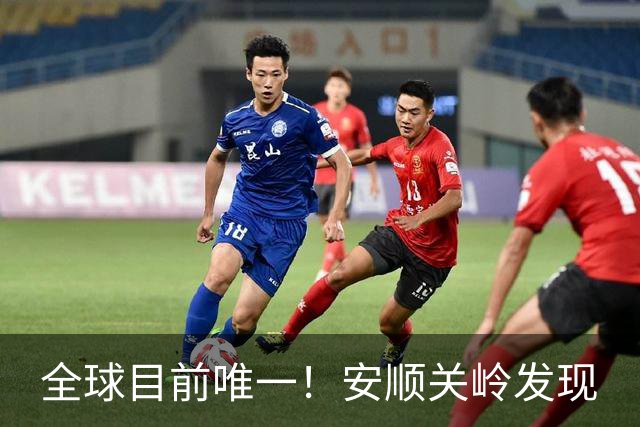 全球目前唯一！安顺关岭发现
