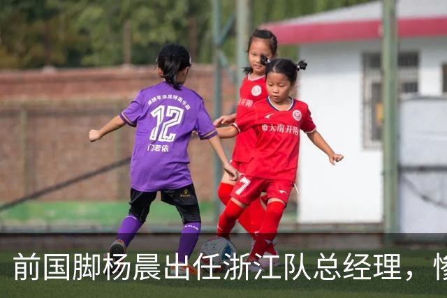 前国脚杨晨出任浙江队总经理，惨败泰山后换血