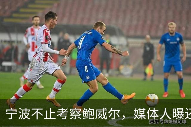 宁波不止考察鲍威尔，媒体人曝还在考察广厦旧将沃顿