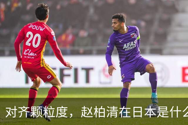 对齐颗粒度，赵柏清在日本是什么水平？