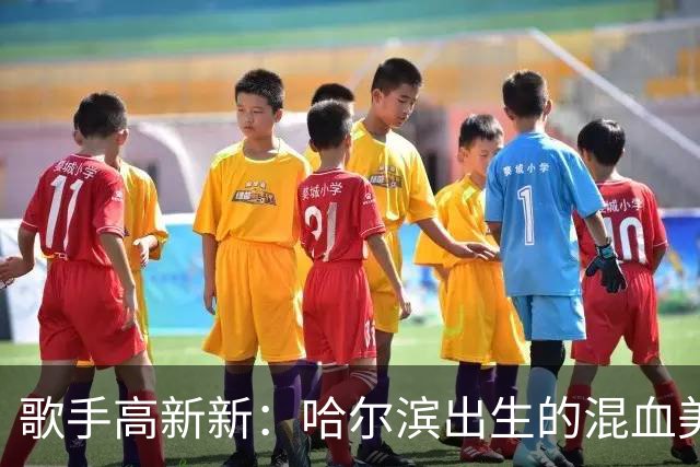 歌手高新新：哈尔滨出生的混血美女，跟着NBA黑人球星去了美国被曝家暴至肛裂，如今她怎么样了？