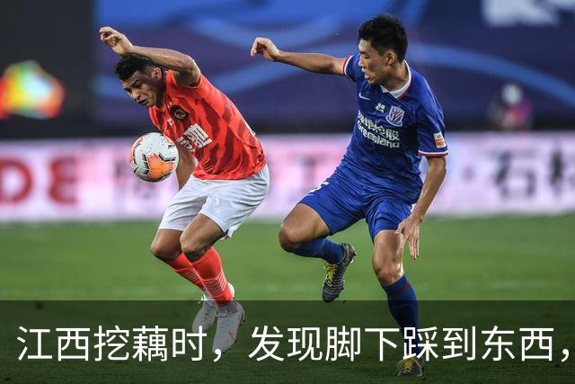 江西挖藕时，发现脚下踩到东西，众人合力将其挖出后全都傻眼