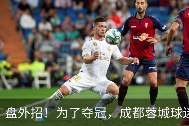 盘外招！为了夺冠，成都蓉城球迷计划干扰大连英博，手段太不光彩