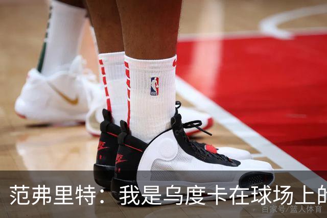 范弗里特：我是乌度卡在球场上的一个翻译 我当老好人他当坏人