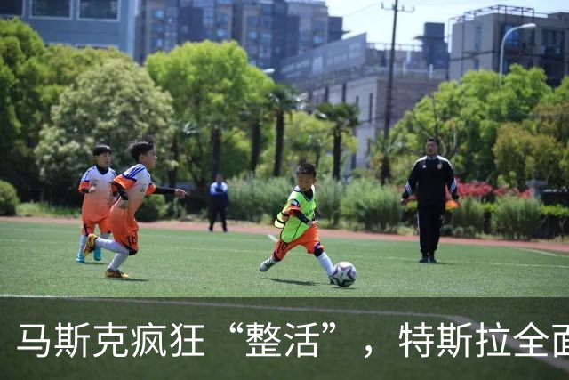 马斯克疯狂“整活”，特斯拉全面“跳票”