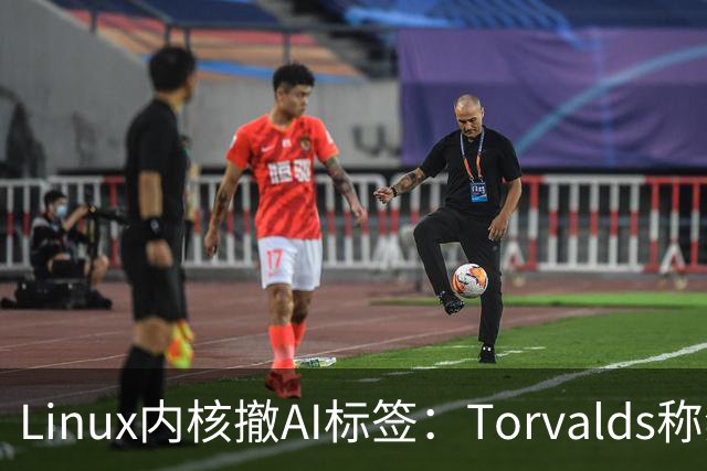 Linux内核撤AI标签：Torvalds称禁用AI愚蠢